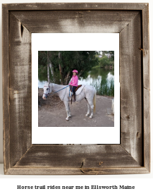 horse trail rides near me in Ellsworth, Maine